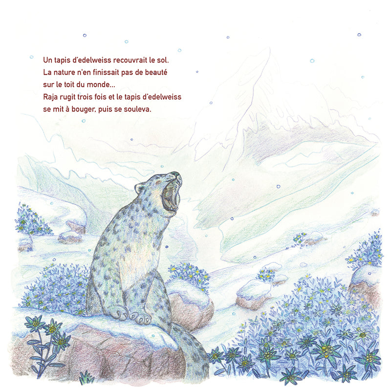 Nayan au pays des neiges - Tome 2