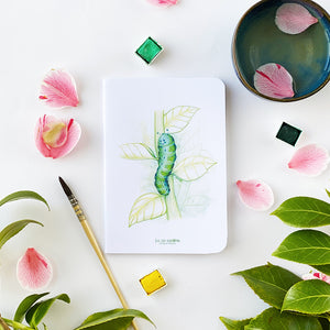 Carnet de notes . Chenille Chlorophylle