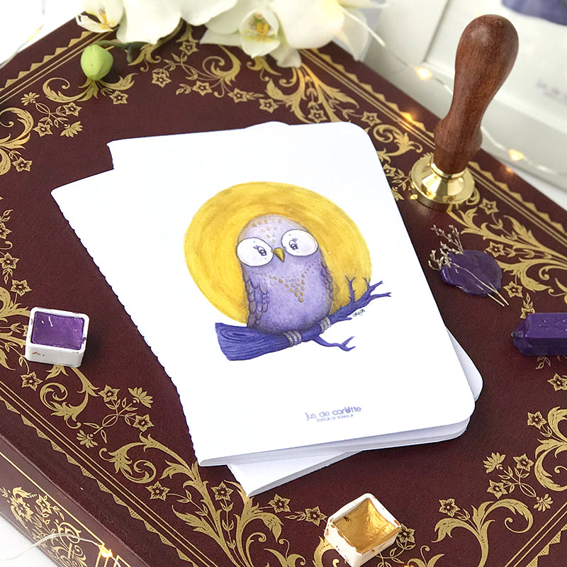 Carnet de notes . Chouette la chouette