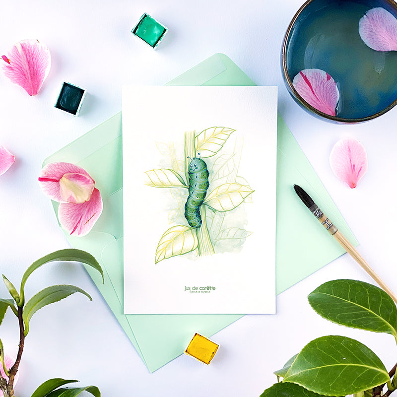 Carte d'art . Chenille Chlorophylle