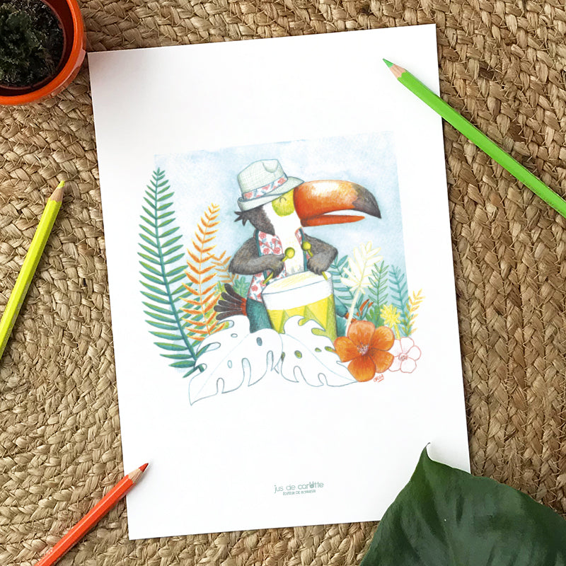 Illustration . Brazil Toucan