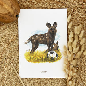 Illustration / Carte d'art . Fifa le lycaon . Le pal Nature