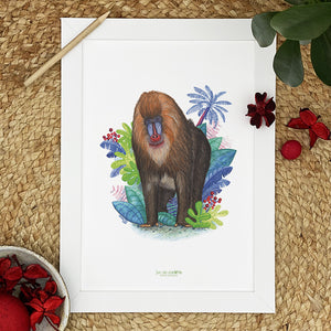 Illustration / Carte d'art . Dyellow le mandrill . Le pal Nature