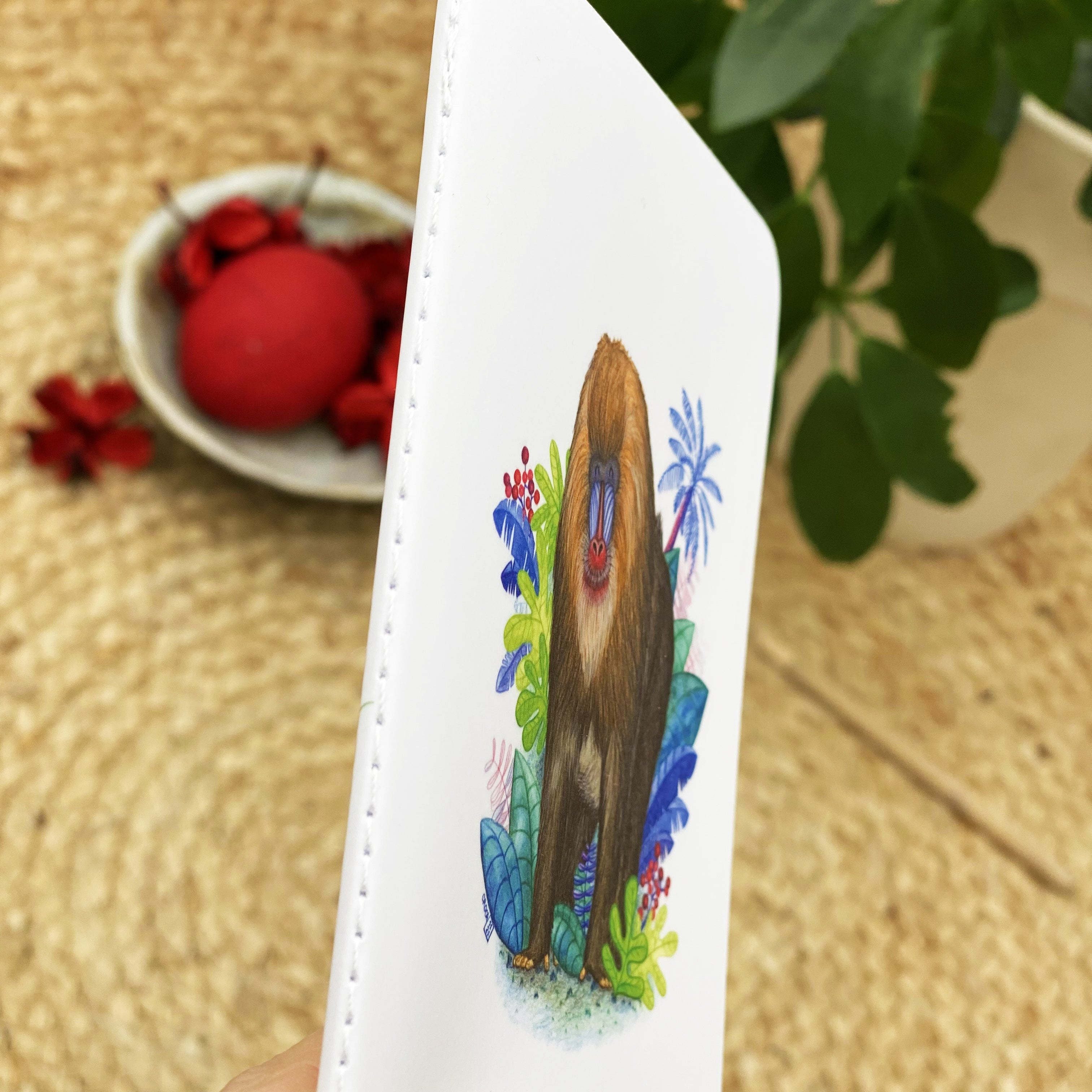 Carnet de notes . Dyellow le mandrill . Le Pal Nature