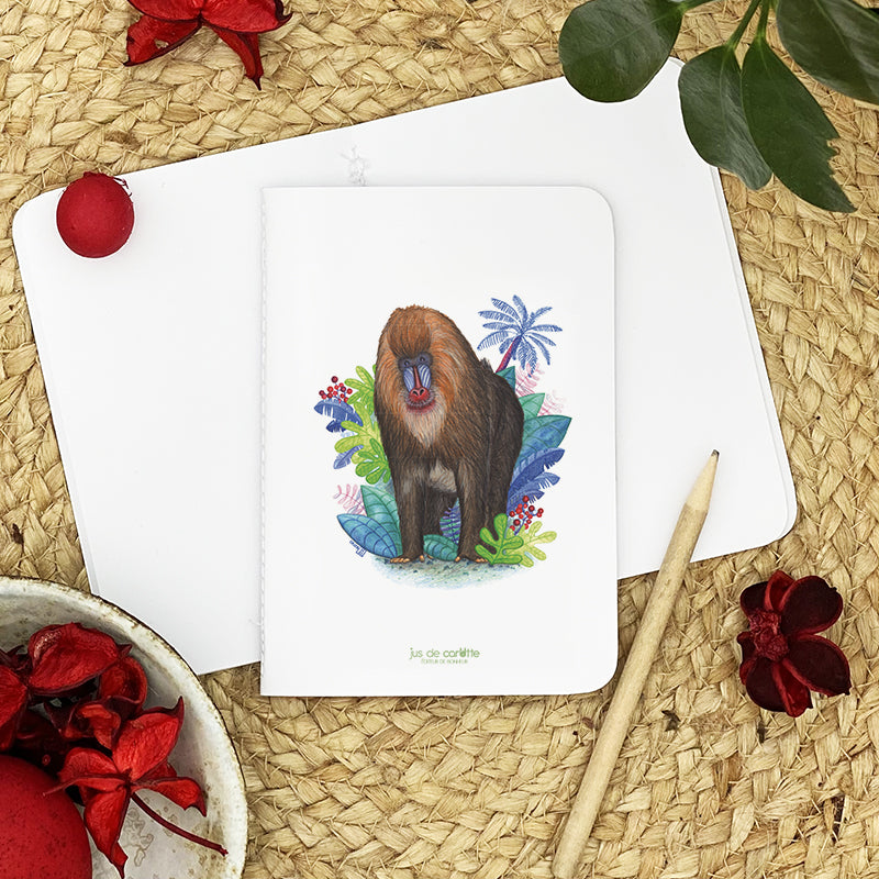 Carnet de notes . Dyellow le mandrill . Le Pal Nature