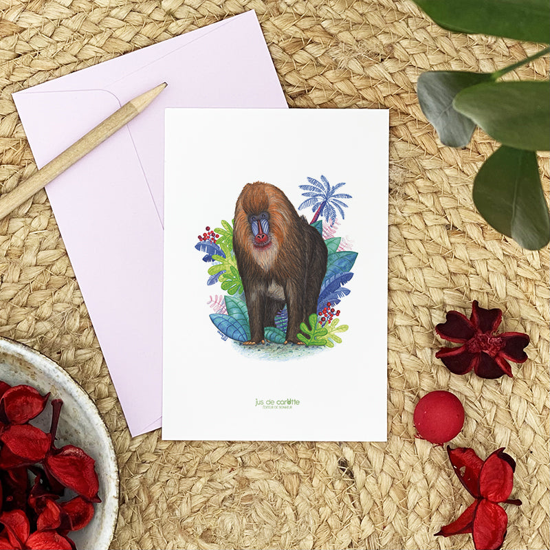 Illustration / Carte d'art . Dyellow le mandrill . Le pal Nature