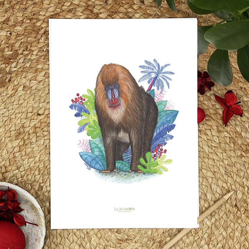 Illustration / Carte d'art . Dyellow le mandrill . Le pal Nature