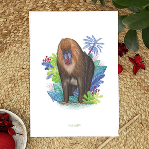 Illustration / Carte d'art . Dyellow le mandrill . Le pal Nature