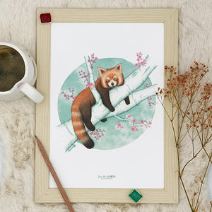 Illustration / Carte d'art . Naoki le panda roux . Le pal Nature