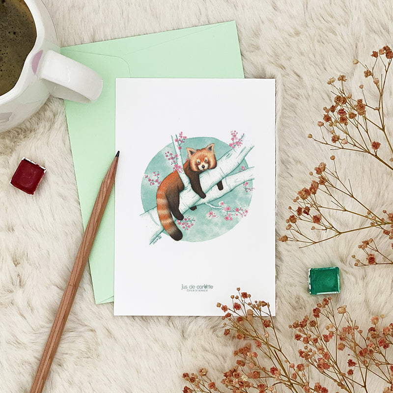Illustration / Carte d'art . Naoki le panda roux . Le pal Nature