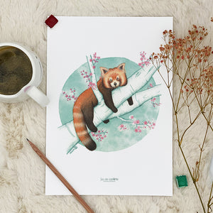Illustration / Carte d'art . Naoki le panda roux . Le pal Nature