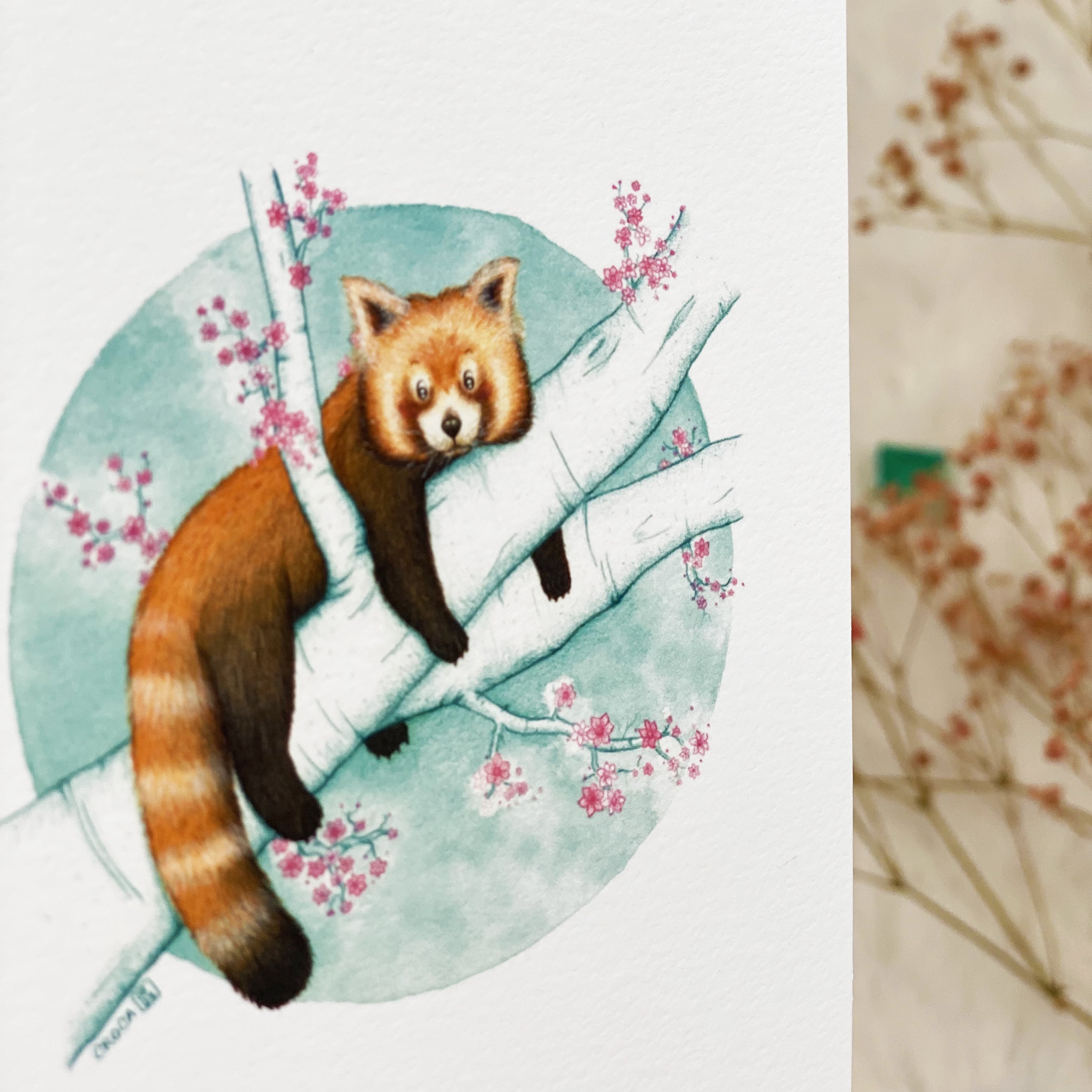 Illustration / Carte d'art . Naoki le panda roux . Le pal Nature