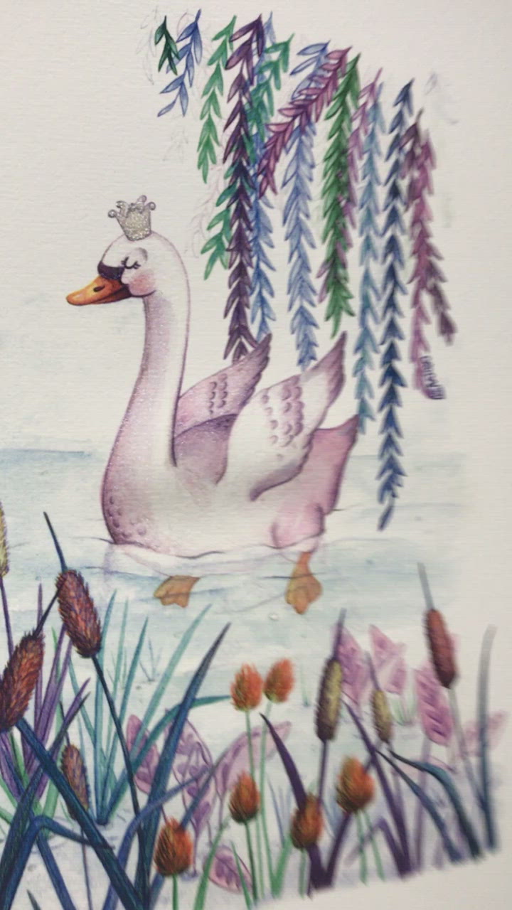 Illustration édition spéciale . Cygne Royal